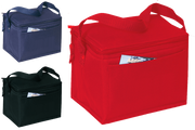 BAGANDTOTE Polyester Polyester Cooler Bags